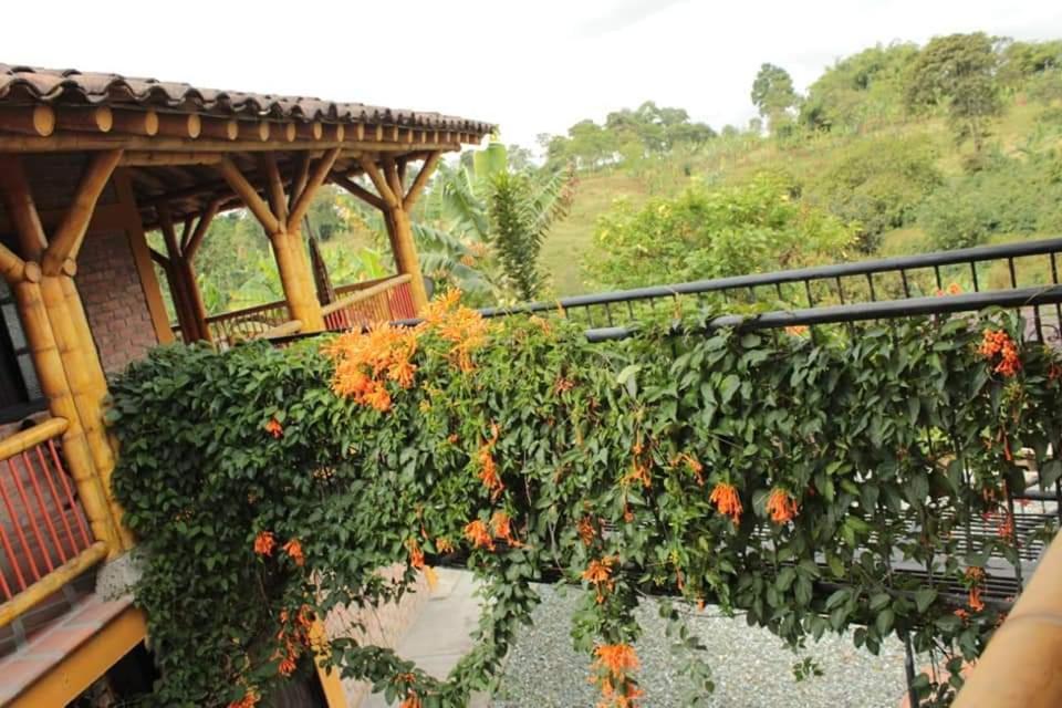 Finca El Diamante Calarcá Exterior photo